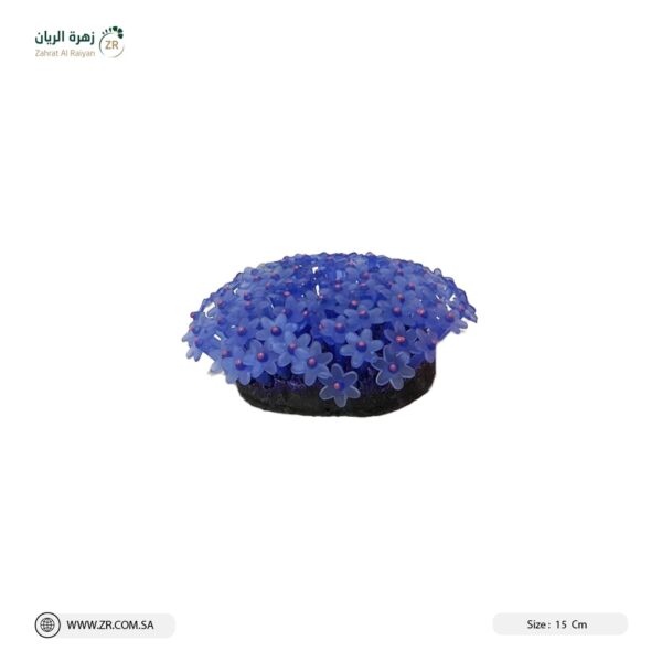 ديكور حوض سمك
